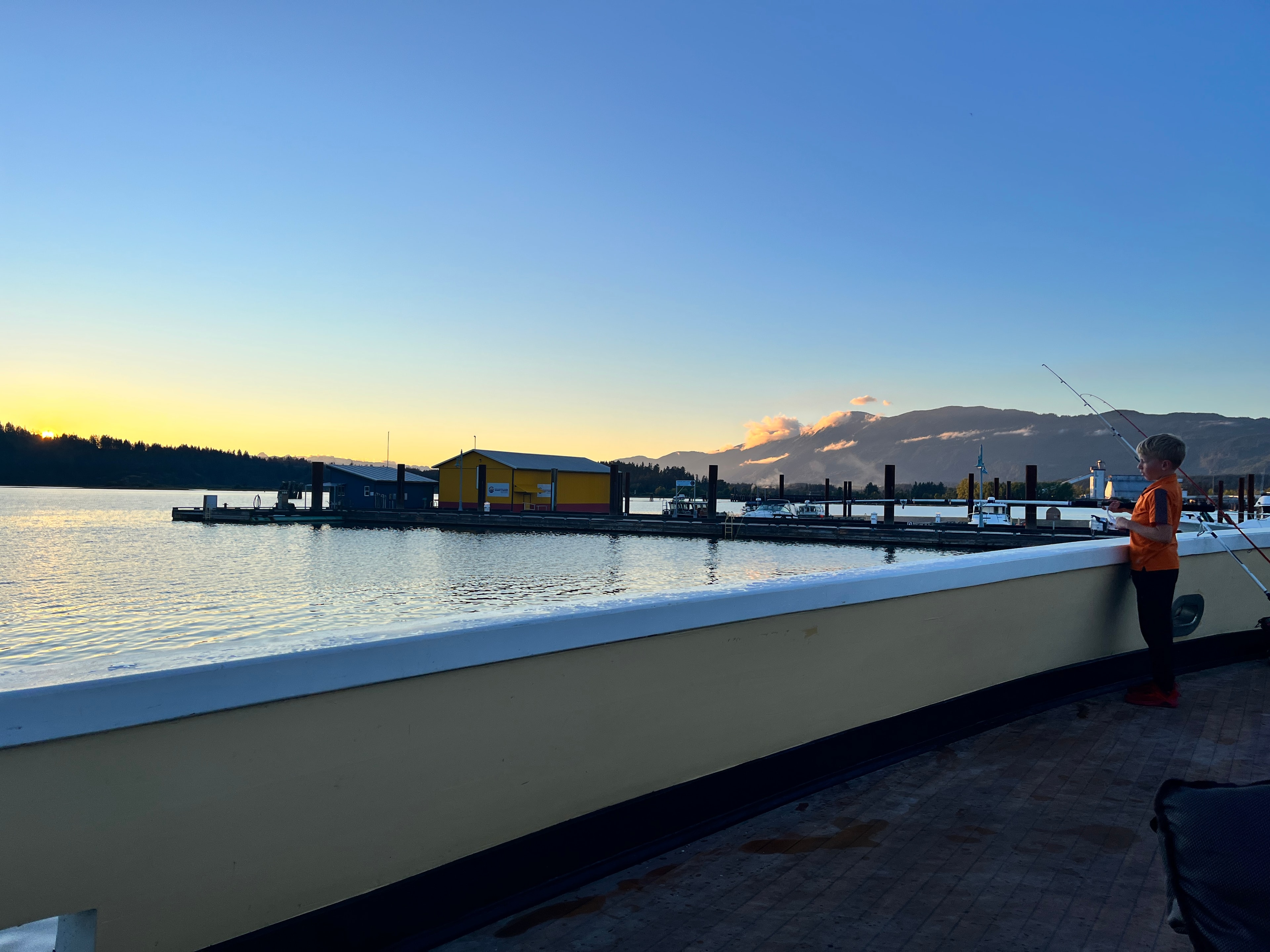 Harbour at dawn